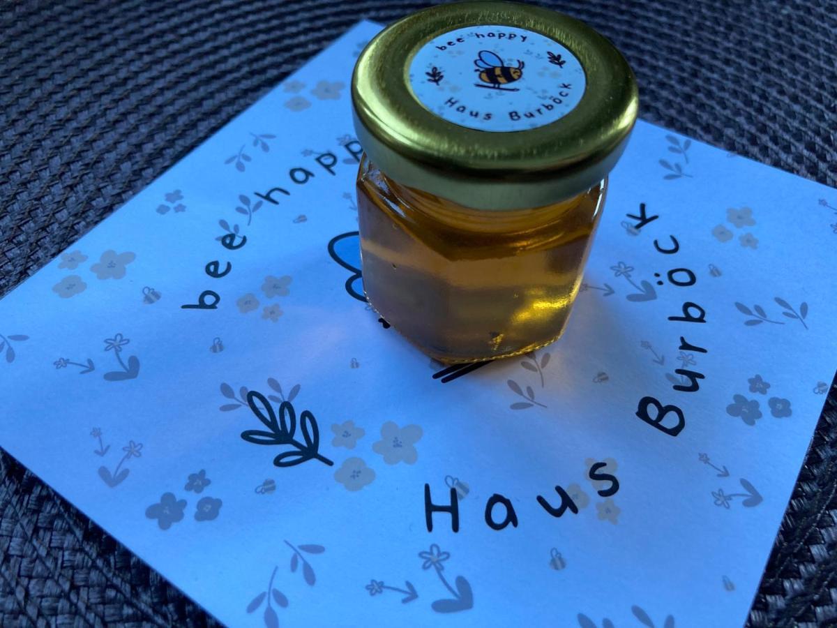 Bee Happy Haus Burboeck Apartamento Flachau Exterior foto